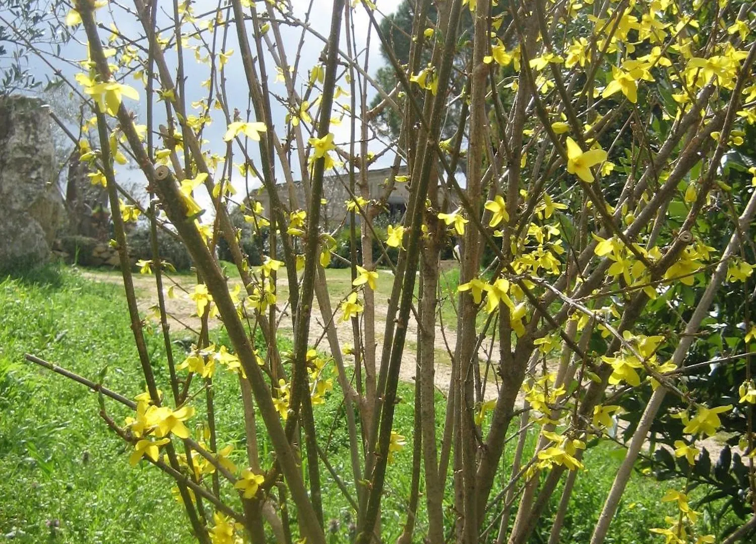 Vila Agriturismo Casa Fibbianello Semproniano Farma